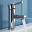 Premier Series 2 Single Lever Mono Basin Mixer Tap with waste