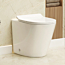 Rimless Back to Wall Toilet BTW Pan with Slim Soft Close Seat - Cesar